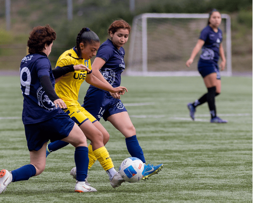 Talleres Deportivos UDEC