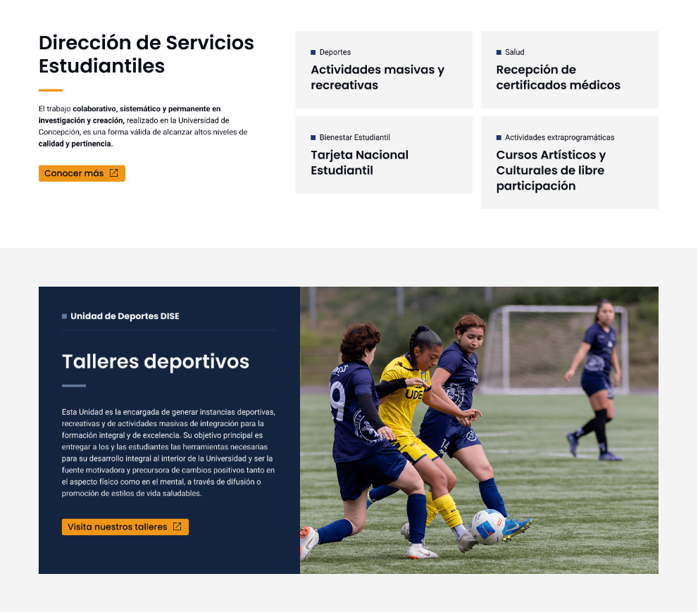 Traducción de imagen DISE UDEC